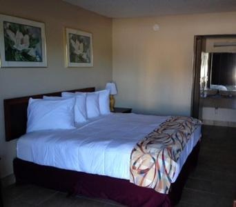 Days Inn Tampa North Of Busch Gardens Lutz Room photo